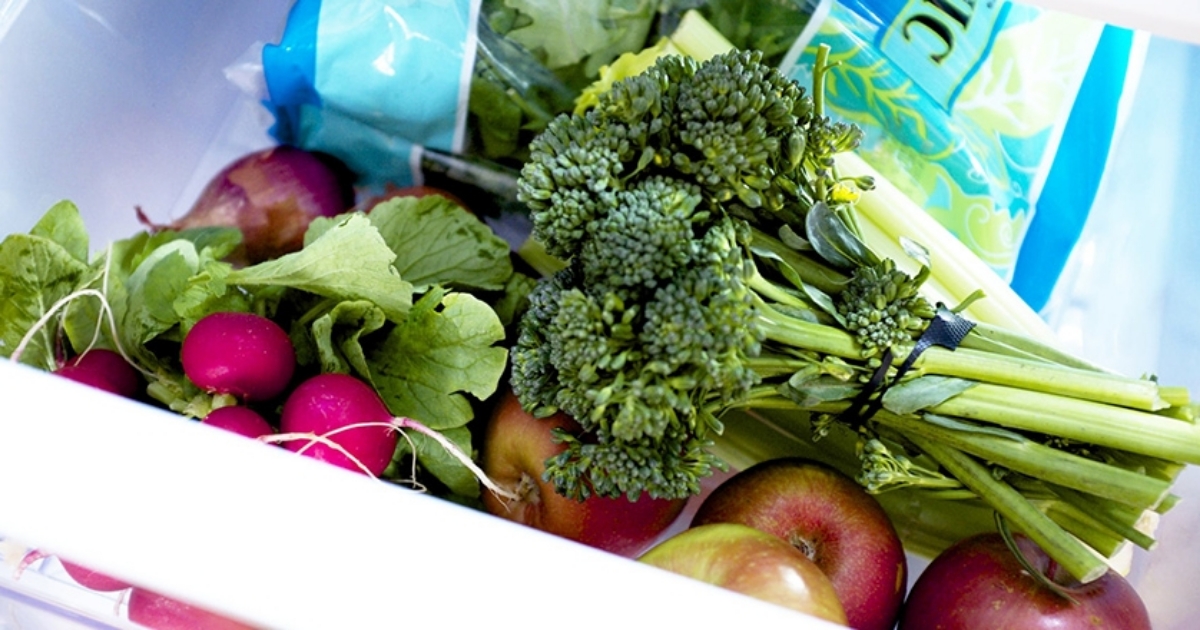 Yiyecekleriniz Buzdolabı ve Dondurucuda Ne Kadar Saklanır?